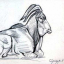 Gaston SUISSE (1896-1988) - Zébu.